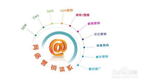 網絡銷售的主要方式 網絡信息推廣與銷售策略解析